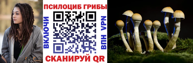 Псилоцибиновые грибы MAGIC MUSHROOMS  Купить где  Тверь 