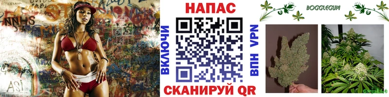 Купить где  Тверь  Бошки марихуана Ganja 